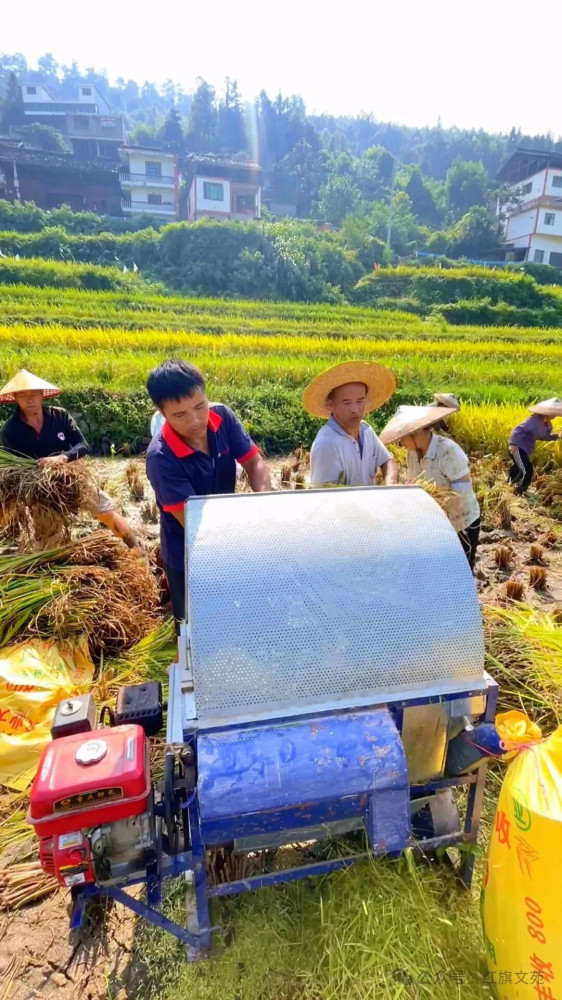 说农民种地暴利的专家,不配给他饭吃!