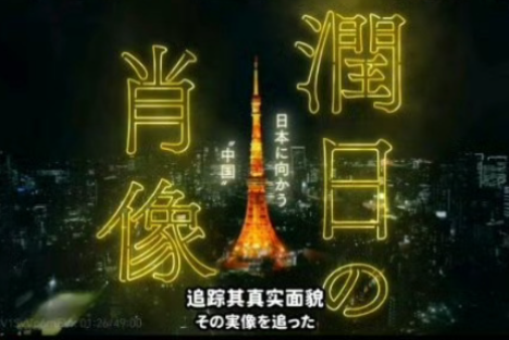 润日“杰出代表”登上日本“央视”纪录片不到一个月，被捕了