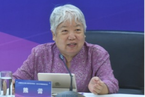 熊蕾：建立中国气派的新闻学，一定要突破西方传播学枷锁