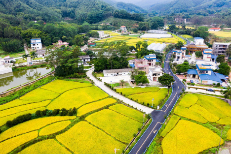 河北省印发发展壮大新型农村集体经济工作方案