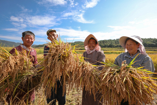 吕德文：关于“农民养老金”讨论的八个误区