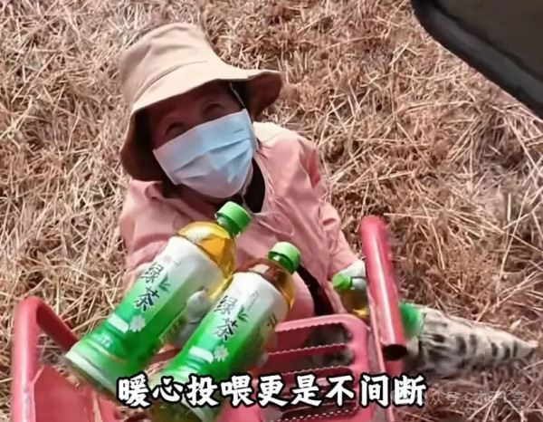 陈先义：麦收季节说不尽的河南