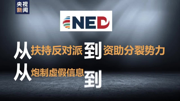 7.4秒一起女性被家暴：一个换了国籍的数字