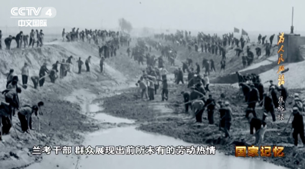 迎难而上战“三害”，挺拔的泡桐是他留给兰考最珍贵的政绩