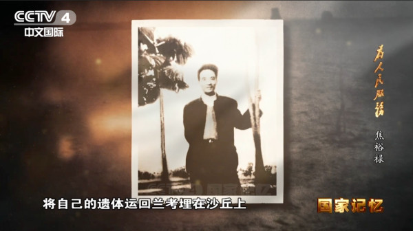 迎难而上战“三害”，挺拔的泡桐是他留给兰考最珍贵的政绩