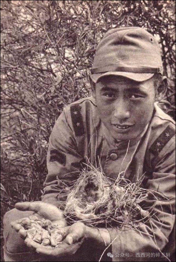 侵华日寇为啥爱抢中国百姓的鸡？