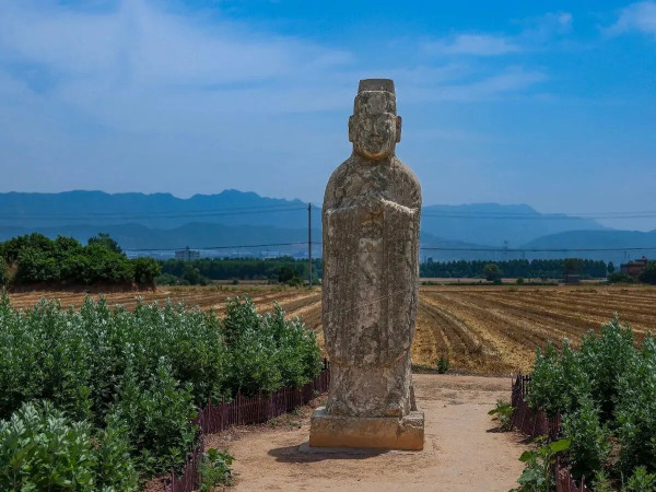 陈先义：宋陵麦浪，一场温柔的千年对望