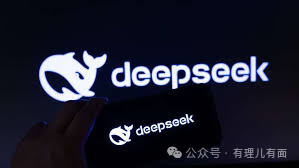 美国公司给DeepSeek付费充值打了谁的脸？