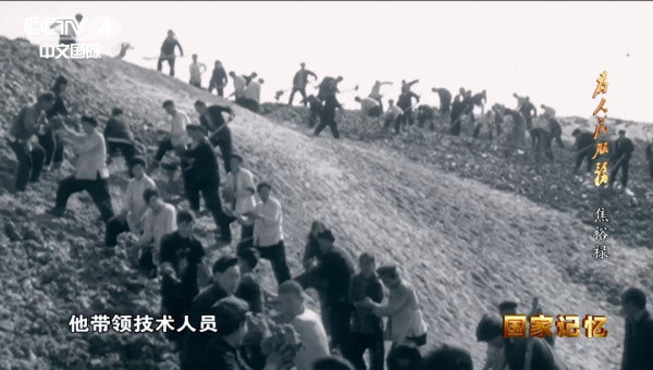 迎难而上战“三害”，挺拔的泡桐是他留给兰考最珍贵的政绩