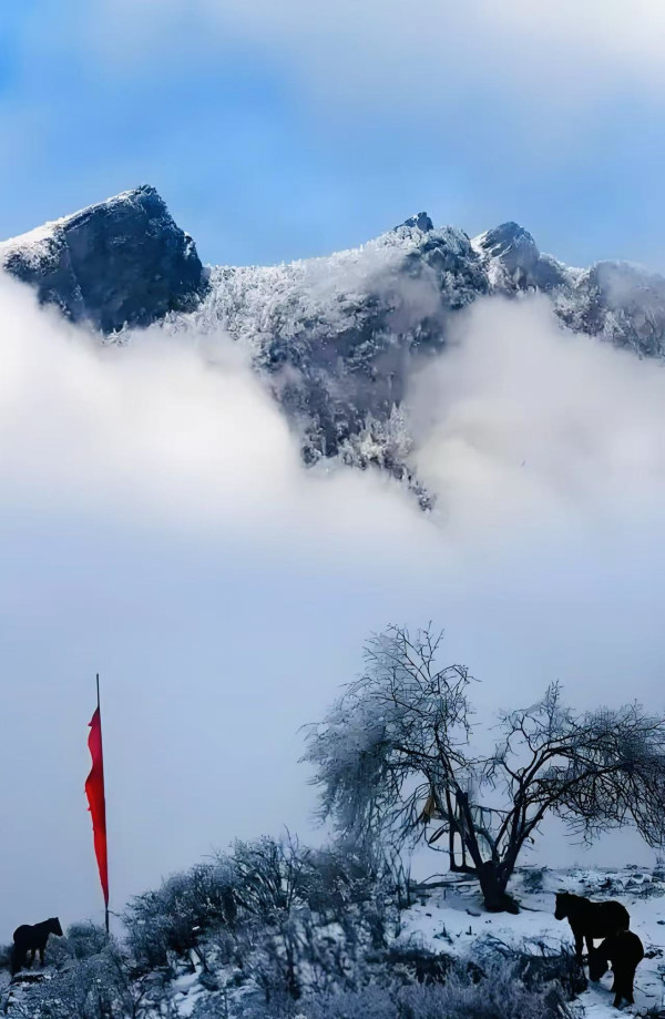 许宝拴：我心中的平武（歌词五首）